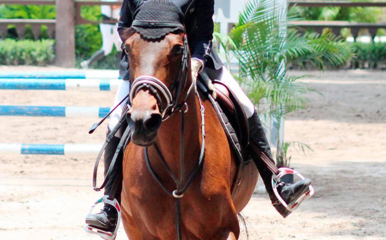 Va morelense al Mundial de Equitación - El Sol de Cuautla | Noticias  Locales, Policiacas, sobre México, Morelos y el Mundo