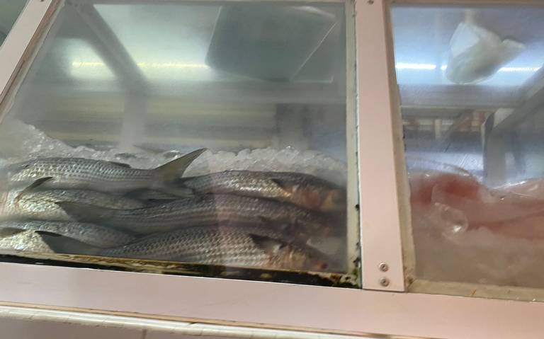 Ni con la Cuaresma repuntan las ventas de pescados y mariscos - El Sol de  Cuautla | Noticias Locales, Policiacas, sobre México, Morelos y el Mundo