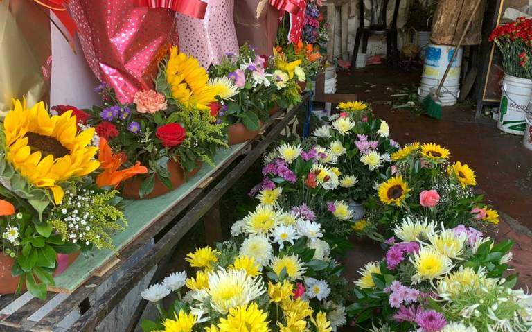 La venta de plantas decorativas y follajes aumentará 20% con motivo del Día  de la Madre