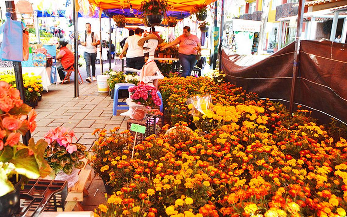 Comercializarán seis millones de flores de cempasúchil - El Sol de Cuautla  | Noticias Locales, Policiacas, sobre México, Morelos y el Mundo
