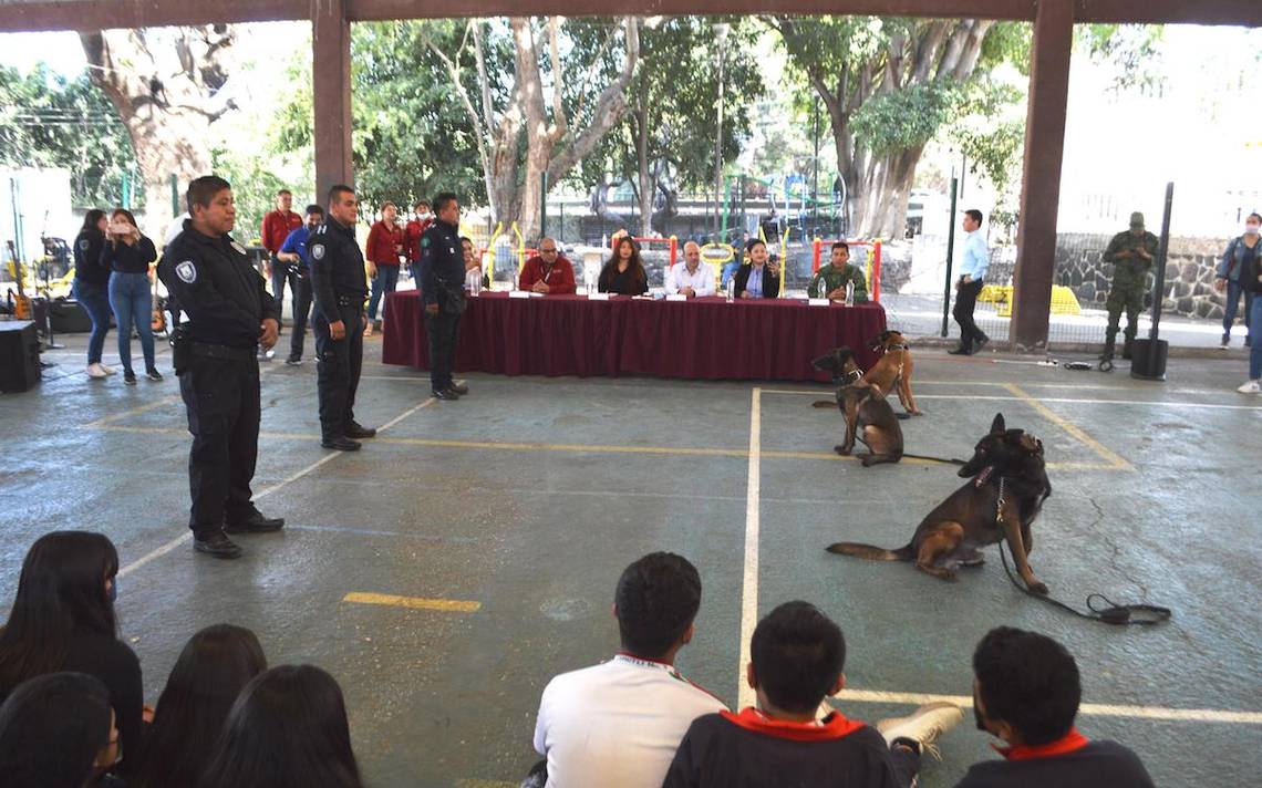 Más De 300 Alumnos Participan En Feria De Prevención Del Delito El Sol De Cuautla Noticias 7147